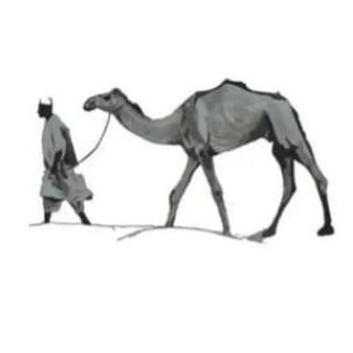 Telegram profile photo for الرواية الأولى