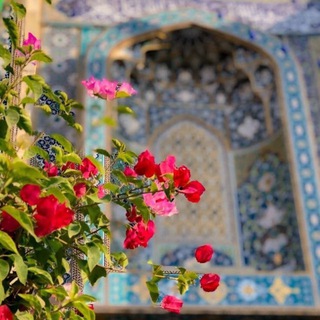 Telegram profile photo for " مَِنهُ وإليْه "