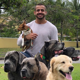 Telegram profile photo for Conteúdos do Tio Perdiga