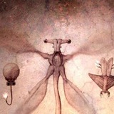 Telegram profile photo for Speculative Biology/Evolution CONFESSION 🦠🤔