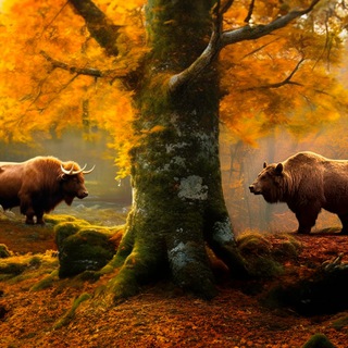 Telegram group profile photo for Put Your Coins chat by Satoshik🌾