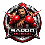 Telegram profile photo for Saddo Boxing News