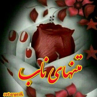 Telegram profile photo for کانال متن های ناب. 🖤@veicimatnnab🖤
