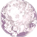 Telegram profile photo for 𝓥𝓪𝓷𝓲𝓵𝓵𝓪𝓼 𝓲𝓷𝓯𝓸