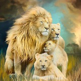 Telegram profile photo for Heart of LIONS