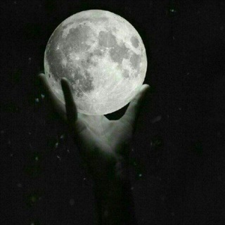 Telegram profile photo for در بینِ پَستو مَغزم