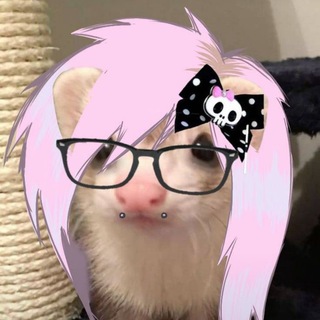 Telegram profile photo for бесгего