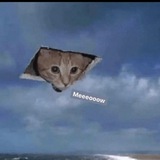 Telegram profile photo for ✨Мемівниця✨