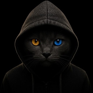Telegram profile photo for Crypto Kot