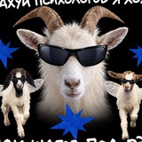 Telegram profile photo for Козий сыр