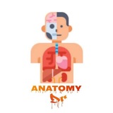 Telegram profile photo for Anatomy'Dr' & 7abasat
