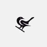 Telegram profile photo for 小鸟☁️-全球网络代理