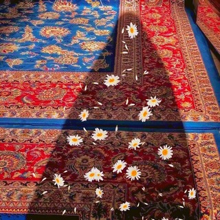 Telegram profile photo for لَـ ضَُّحٌَىٰ .