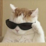 Telegram profile photo for daia:заработок на отзывах💗