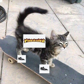 Telegram profile photo for Неокотизм