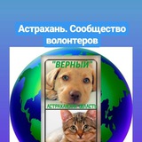 Telegram profile photo for Верный Астрахань