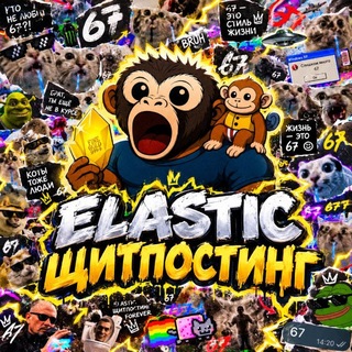 Telegram profile photo for elastic щитпостинг
