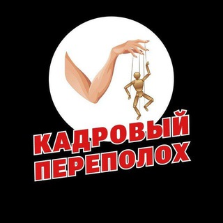 Telegram profile photo for Кадровый переполох