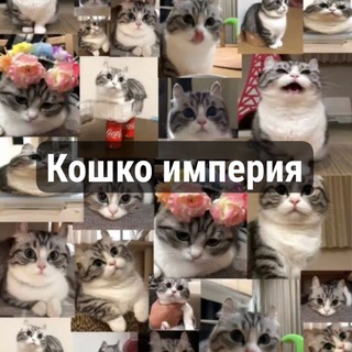 Telegram profile photo for Komaru imperia~ Kошко империя🍊