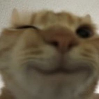 Telegram profile photo for ты я и анекдот