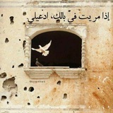 Telegram profile photo for العُصْفُورة دِينَـا الجَارْحِي☘️