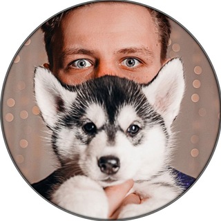 Telegram profile photo for СПБ XASKIBEST Фотосессия с мини хаски