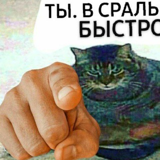 Telegram profile photo for Сегодня я спиздила мем🐁