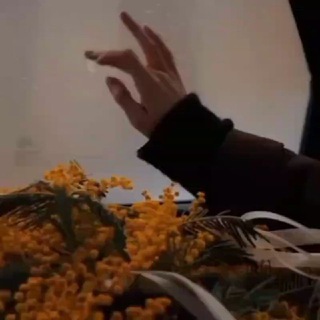 Telegram profile photo for 🌹.𝙆.У.Р.Б.А.Н.О.В.А.🌹