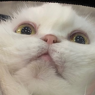 Telegram profile photo for Страдания косплеера
