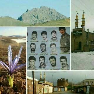 Telegram profile photo for گردکانه