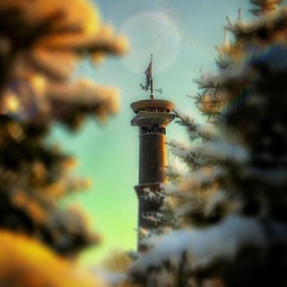 Telegram profile photo for Primorka_spb — Приморский район твоего сердца