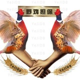 Telegram profile photo for 野鸡担保 @YeJidb