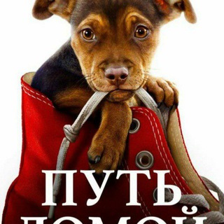Telegram profile photo for ПУТЬ ДОМОЙ Бронницы ( каталог)