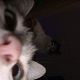 Telegram profile photo for 1st of December