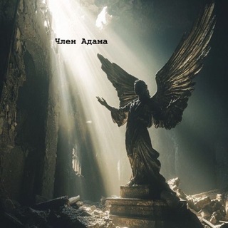 Telegram profile photo for Կ᧘ᥱн Адᥲⲙᥲ Инɸ᧐