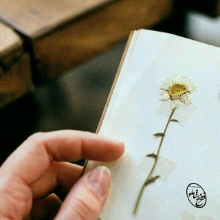 Telegram profile photo for اشعار فروغ - شاملو