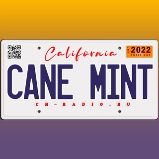 Telegram profile photo for 🍃 Cane Mint Radio 🎙