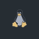 Telegram profile photo for 🐧Базовый LinuxMapping 🌿 (смотрите я ушел я КЛУТОЙ)