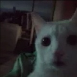 Telegram profile photo for модельки от Китты