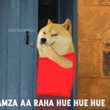 Telegram profile photo for Memes template ™