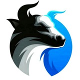 Telegram profile photo for F O R E X • V I S U A L | فارکس