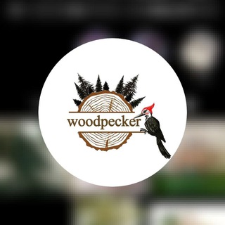 Telegram profile photo for پخش چوب دارکوب(برادران حاجیوند)