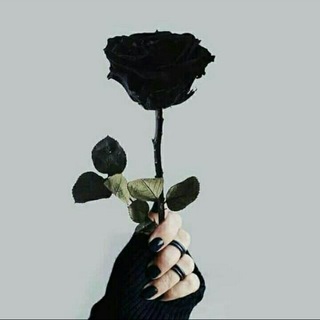 Telegram profile photo for مٰـہٰٖزٖاٰجٰـہٰٖيٰـہٰٖاٰتٰـہٰٖ 🌸‘