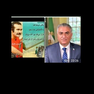 Telegram profile photo for استادفریدون فرخزاد ما