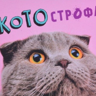Telegram profile photo for КОТОстрофа