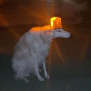 Telegram profile photo for За чашкой кофе