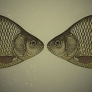 Telegram profile photo for комарун