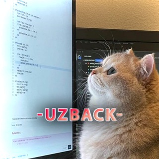 Telegram profile photo for UzBack Studio