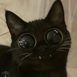 Telegram profile photo for بولشت و رفرنس مثلا