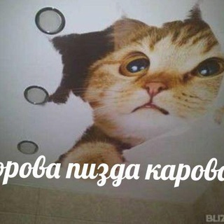 Telegram profile photo for Полный хохоTOUCH